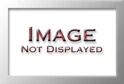 WW5307